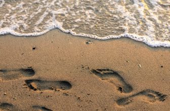 Alles wat je moet weten over drainagezand